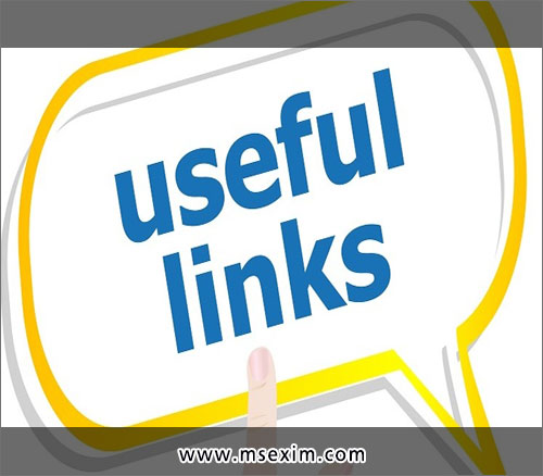 M.S. Exim Services Custom House Agents in Ludhiana Punjab India